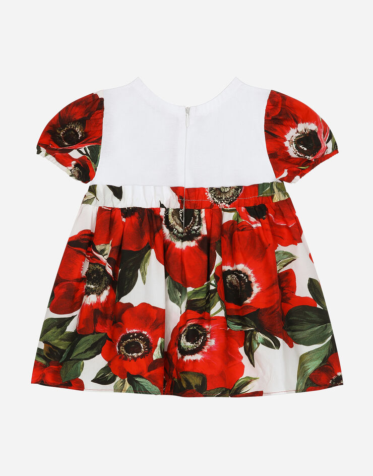 Dolce & Gabbana 블루머 & 아네모네 프린트 저지 포플린 드레스 인쇄 L2JD6KG7M2E