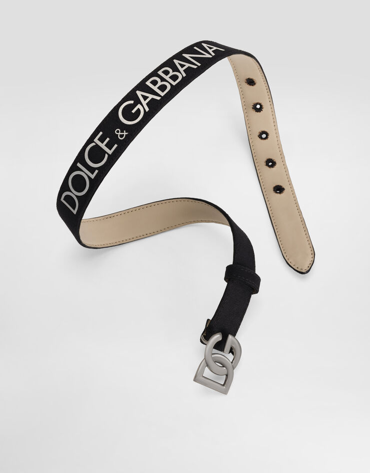 Dolce & Gabbana Canvas and calfskin logo belt Multicolor EC0083A0069