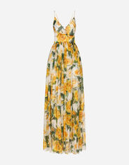Dolce & Gabbana Langes Kleid aus Seidenchiffon Gelbe-Rosen-Print Drucken F755RTHS5NK
