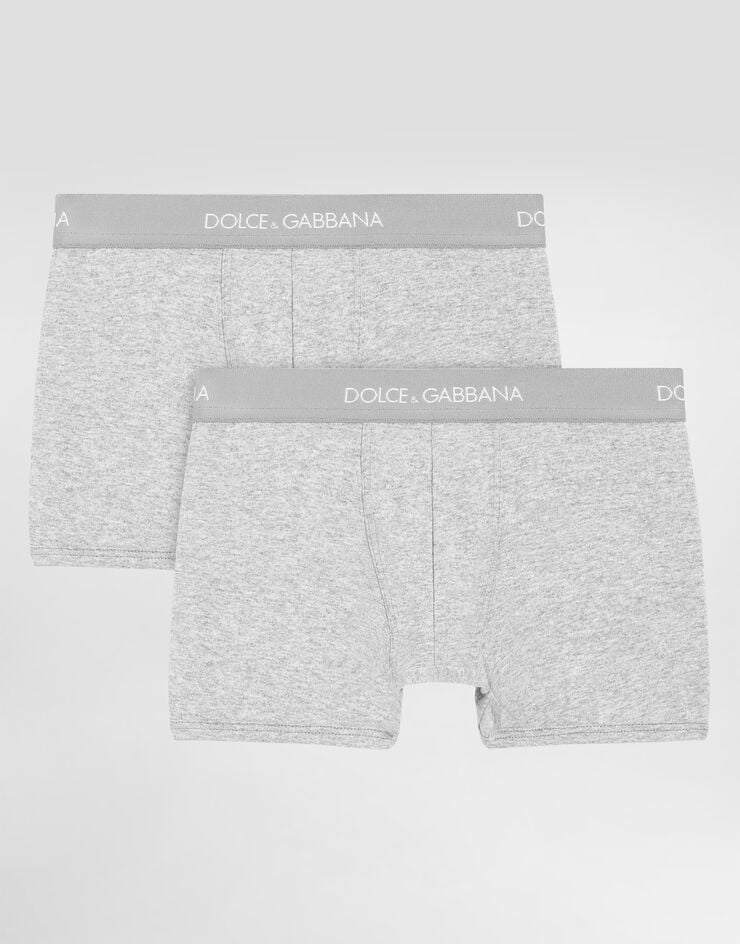 Dolce & Gabbana Boxer two-pack with branded elastic Grey L4J701ON00G