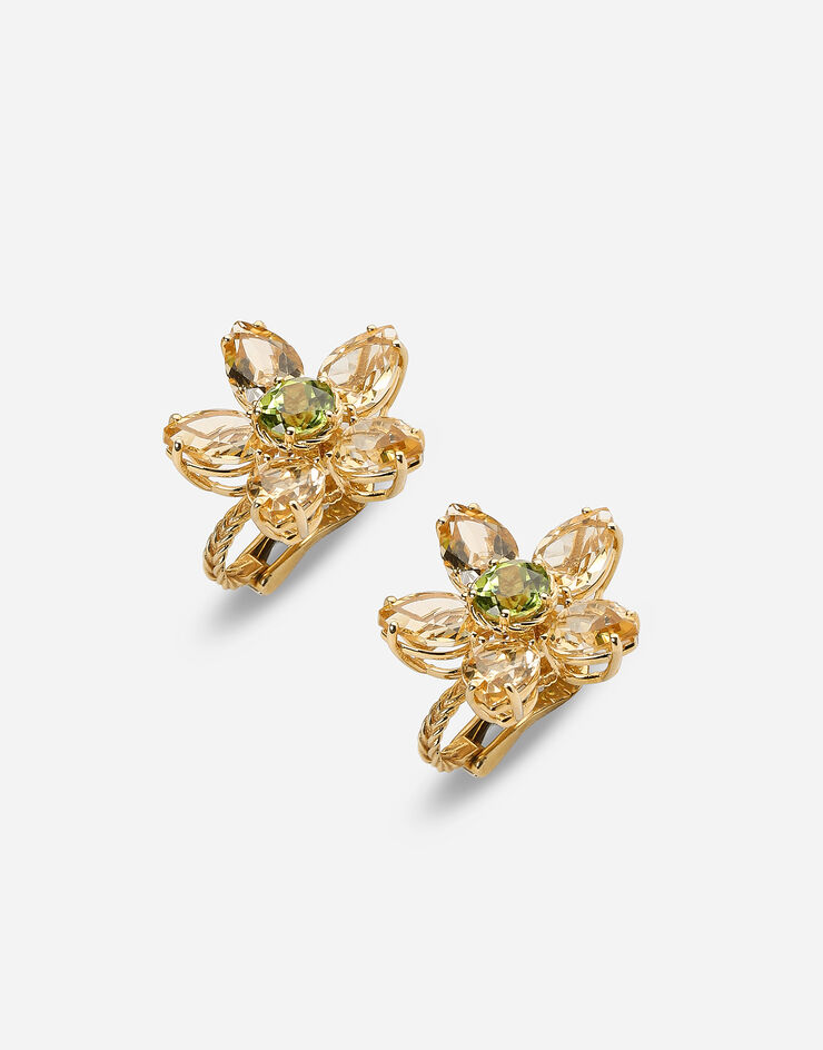 Dolce & Gabbana Boucles d’oreilles Spring en or jaune 18 ct avec fleurs en citrine Doré WEJI2GWQC03