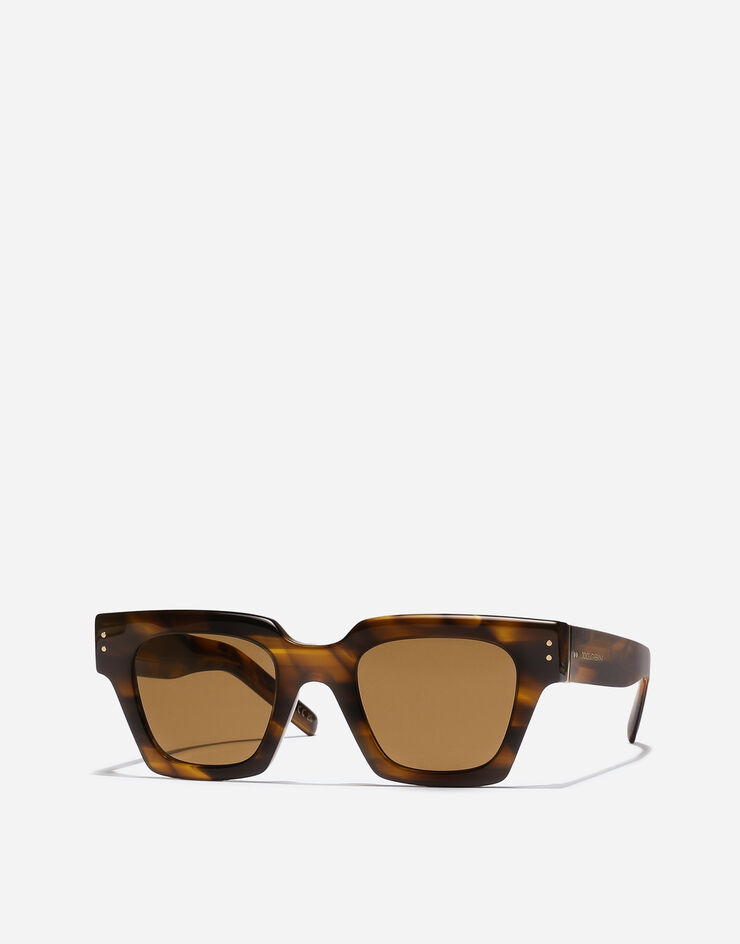 Dolce & Gabbana DNA Sunglasses Vintage havana VG4413VP373