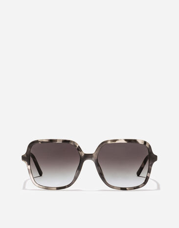 Dolce & Gabbana DG Everyday Sunglasses Yellow havana VG4539VP28G