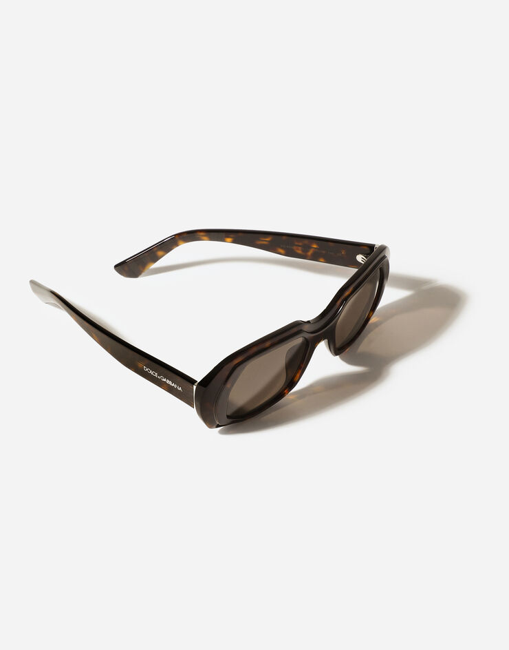Dolce & Gabbana Dna Sunglasses Havana VG4530VP273