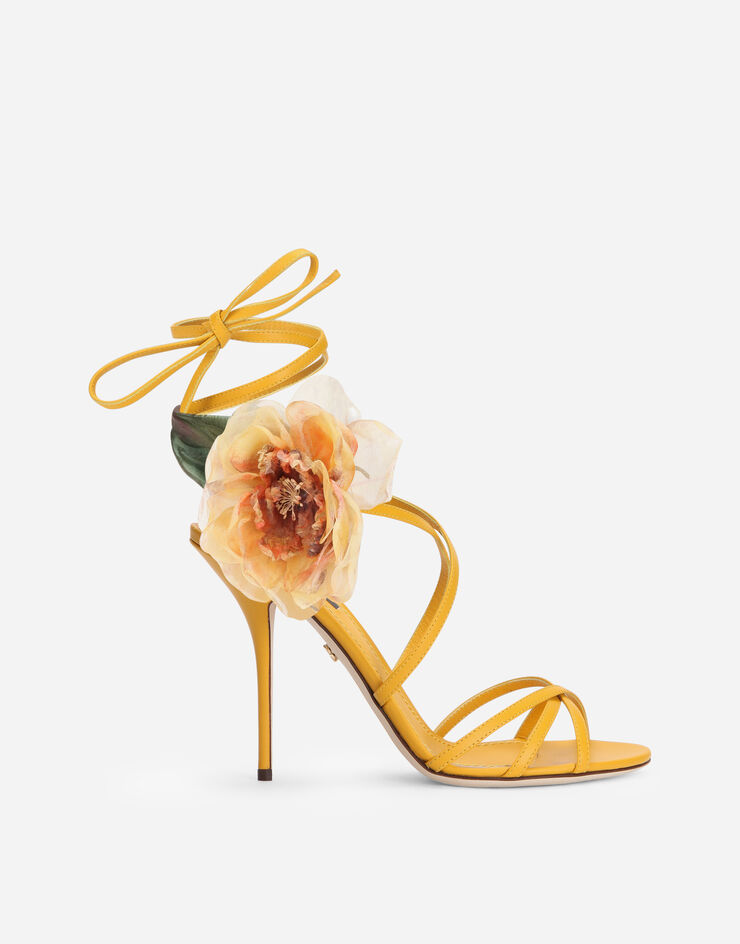 Dolce & Gabbana  YELLOW CR1153AO649