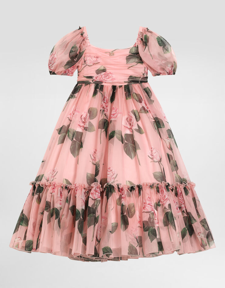 Dolce & Gabbana Vestido de organza con estampado de rosas Imprima L54DF2IS1YB