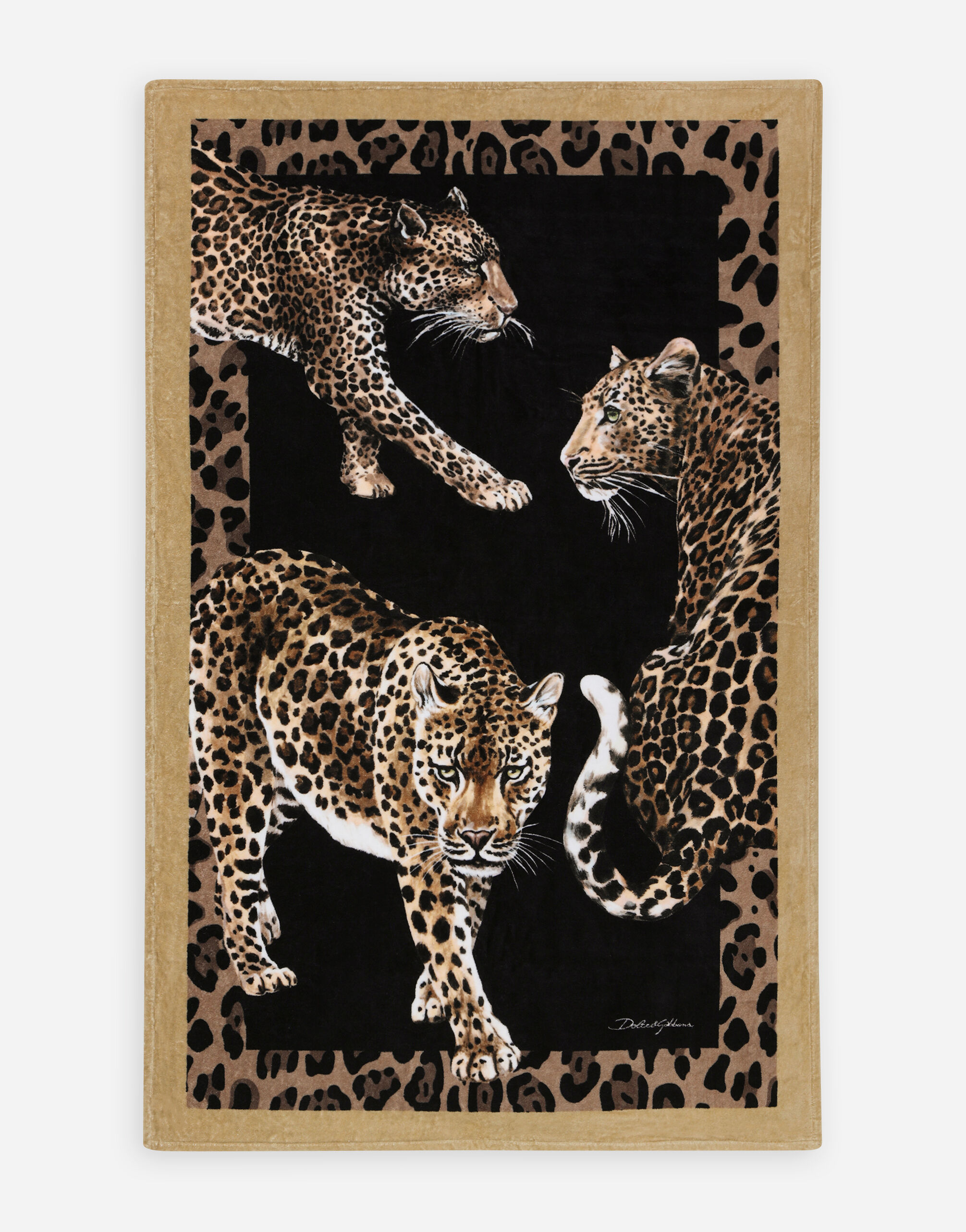 Dolce & Gabbana Terry Cotton Beach Towel Multicolor TCC087TCAG3