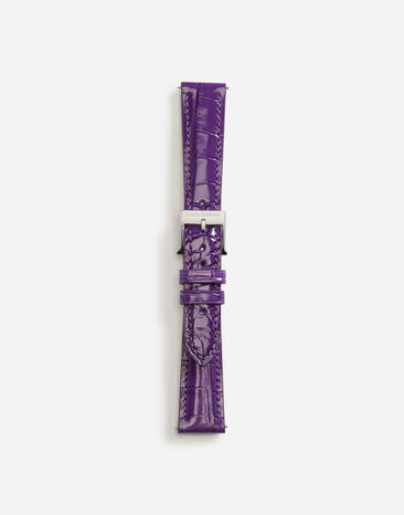Dolce & Gabbana Alligator strap with buckle and hook in steel White WWQA2GWSPBL