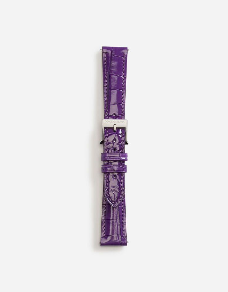 Dolce & Gabbana Alligator strap with buckle and hook in steel VIOLETT WSFE2LXLAC1