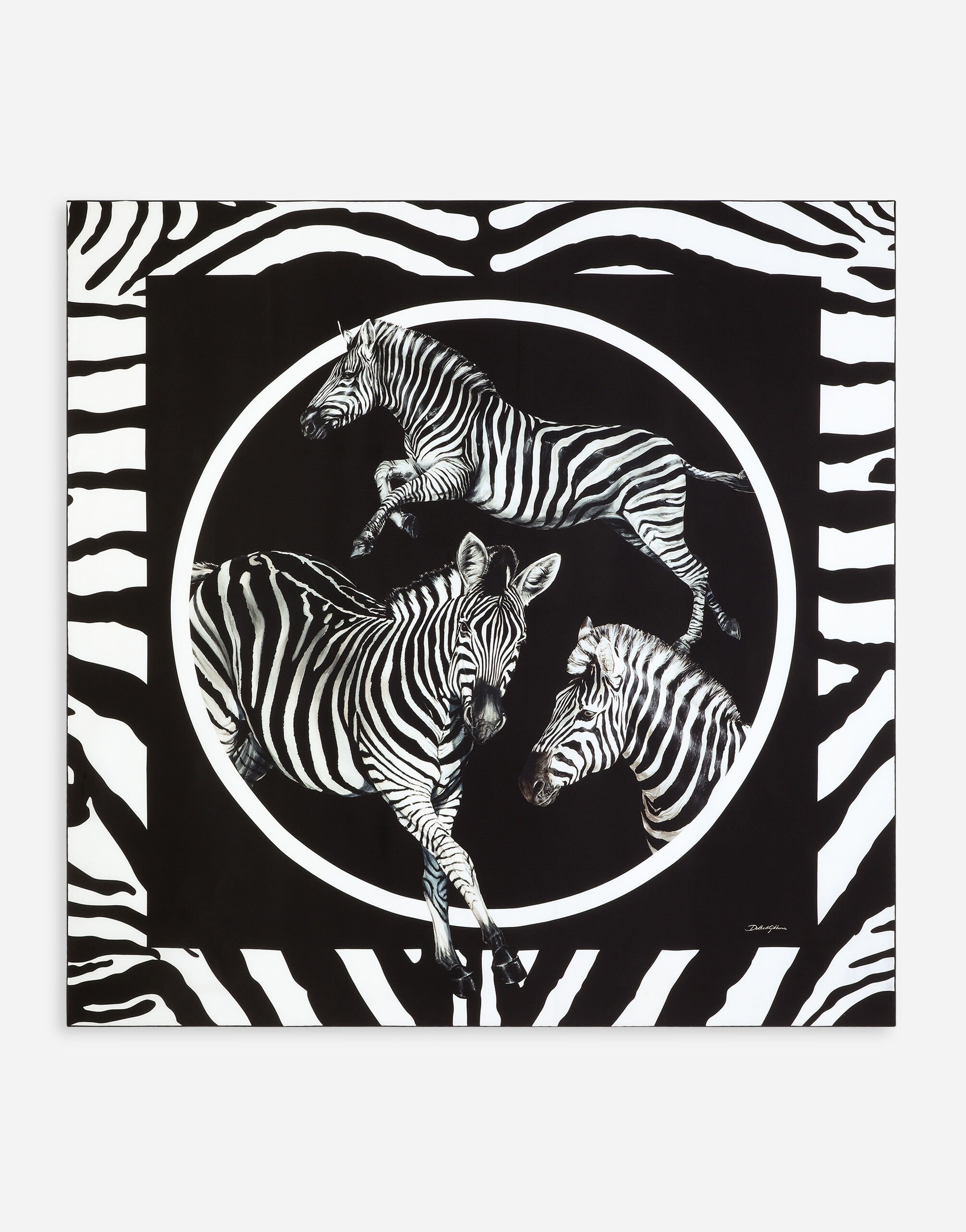 Dolce and gabbana zebra outlet