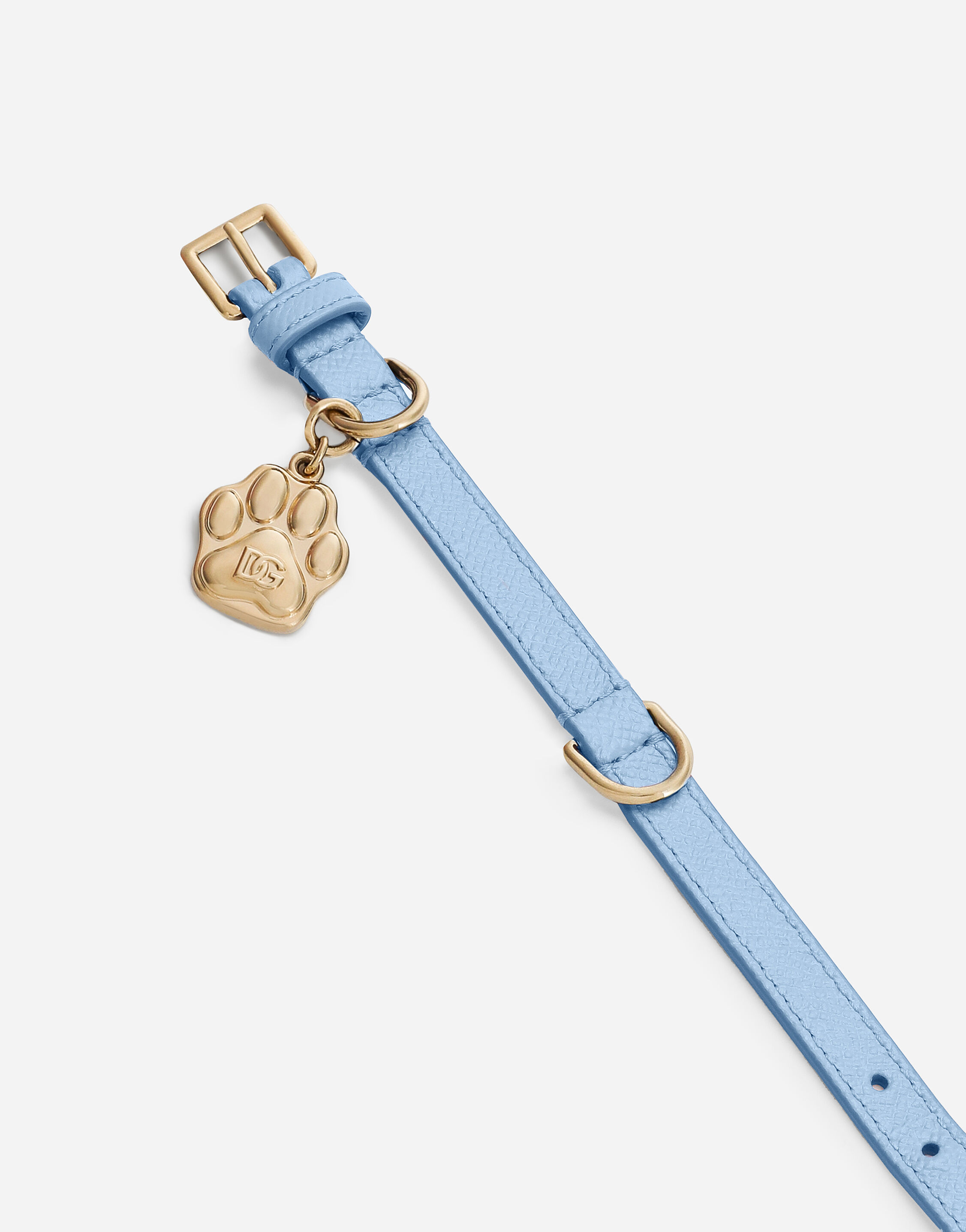 Dog collar in Azure Dolce Gabbana