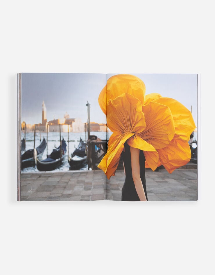 Dolce & Gabbana Dolce&Gabbana Alta Moda Multicolor VL1161VLTW2