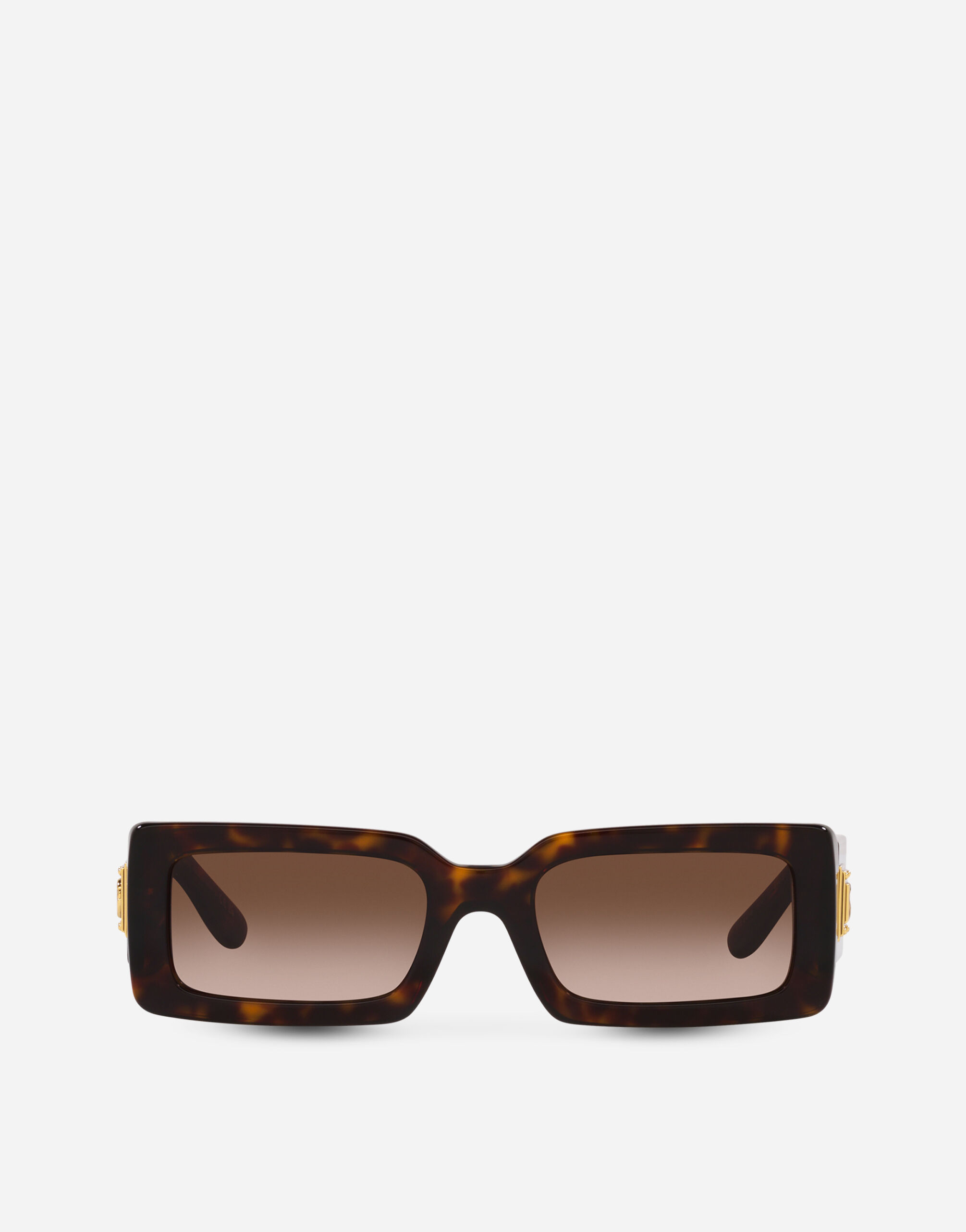 DG Bella sunglasses in Havana for Dolce Gabbana US