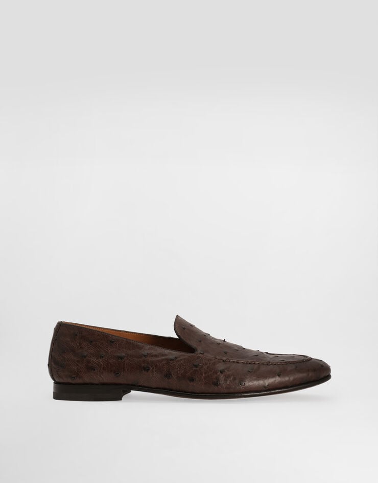 Dolce & Gabbana Ostrich leather slippers Brown A50716AE436