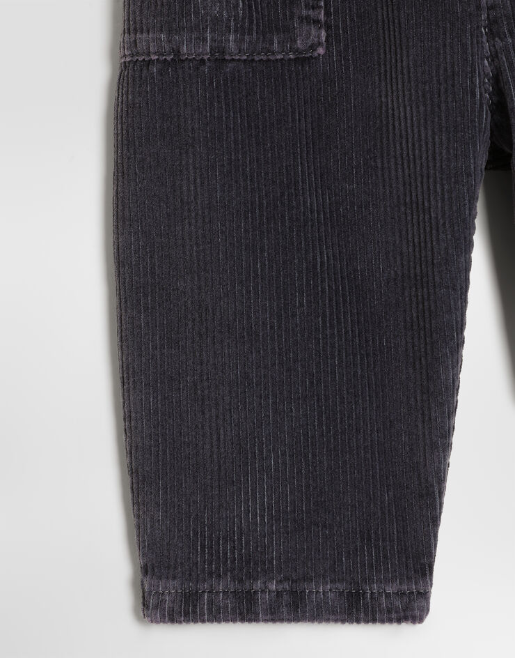 Dolce & Gabbana Velvet trousers with patch Multicolor L15P48LY115
