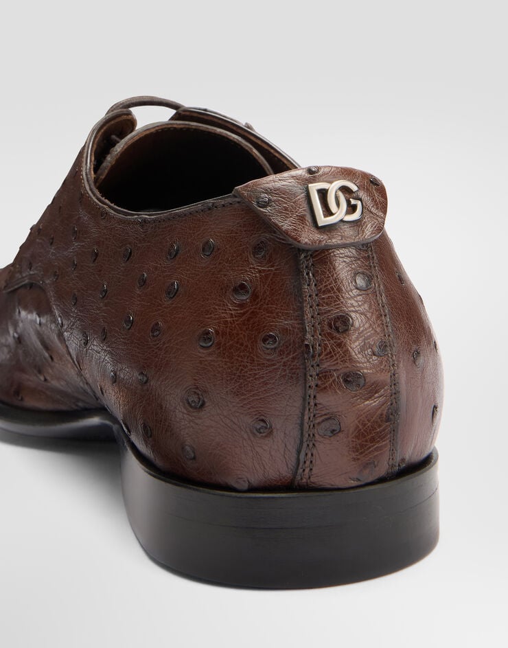 Dolce & Gabbana Ostrich leather derby shoes Dolce & Gabbana Ostrich leather derby shoes Brown A10939A8M90