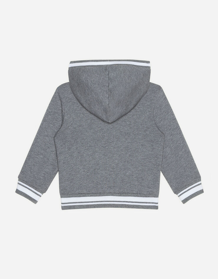 Dolce & Gabbana Jersey hoodie with DG Family florists GREY L1JW1HG7WAW