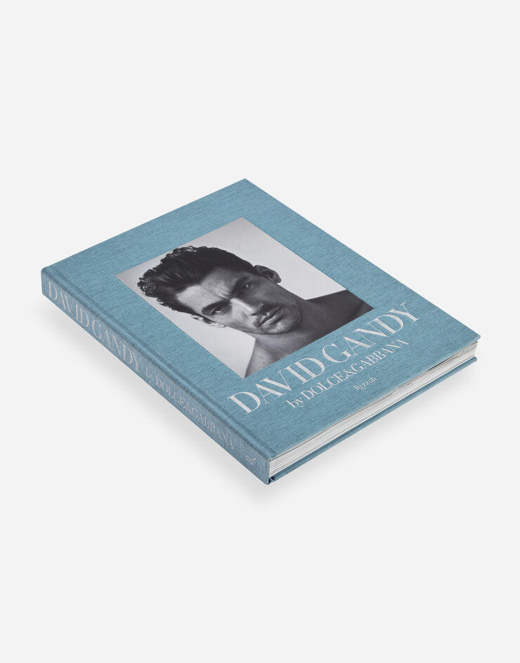 Dolce & Gabbana DAVID GANDY BY DOLCE&GABBANA Multicolor VL1014VLTW4