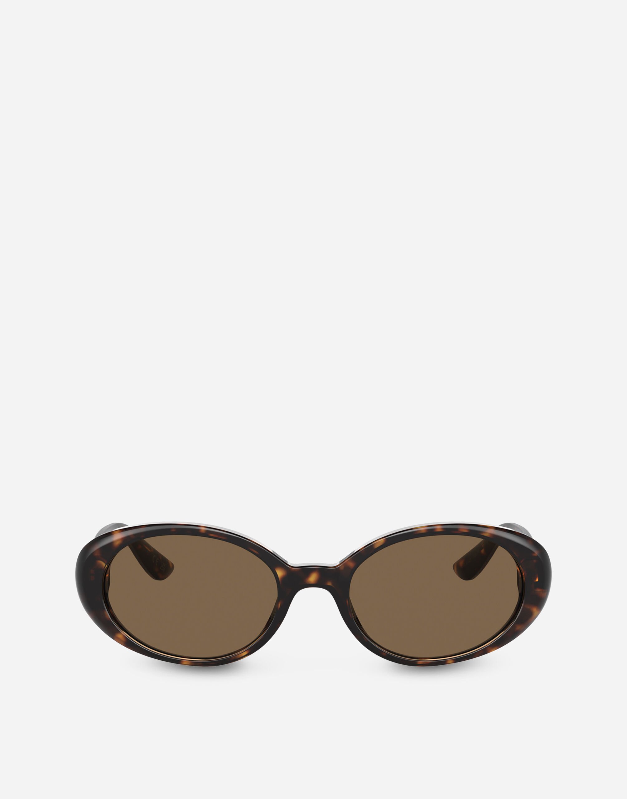 Dolce & Gabbana Re-Edition | Dna sunglasses Transparent camel VG4467VP203