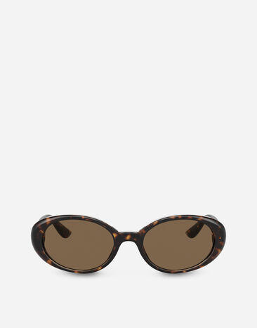 Dolce & Gabbana Re-Edition | Dna sunglasses Havana VG4443VP273
