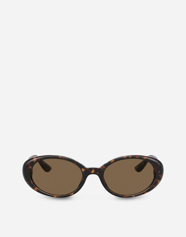 Dolce & Gabbana Re-Edition | Dna sunglasses Havana VG4443VP273