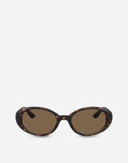 Dolce & Gabbana Re-Edition | Dna sunglasses Transparent camel VG4467VP203