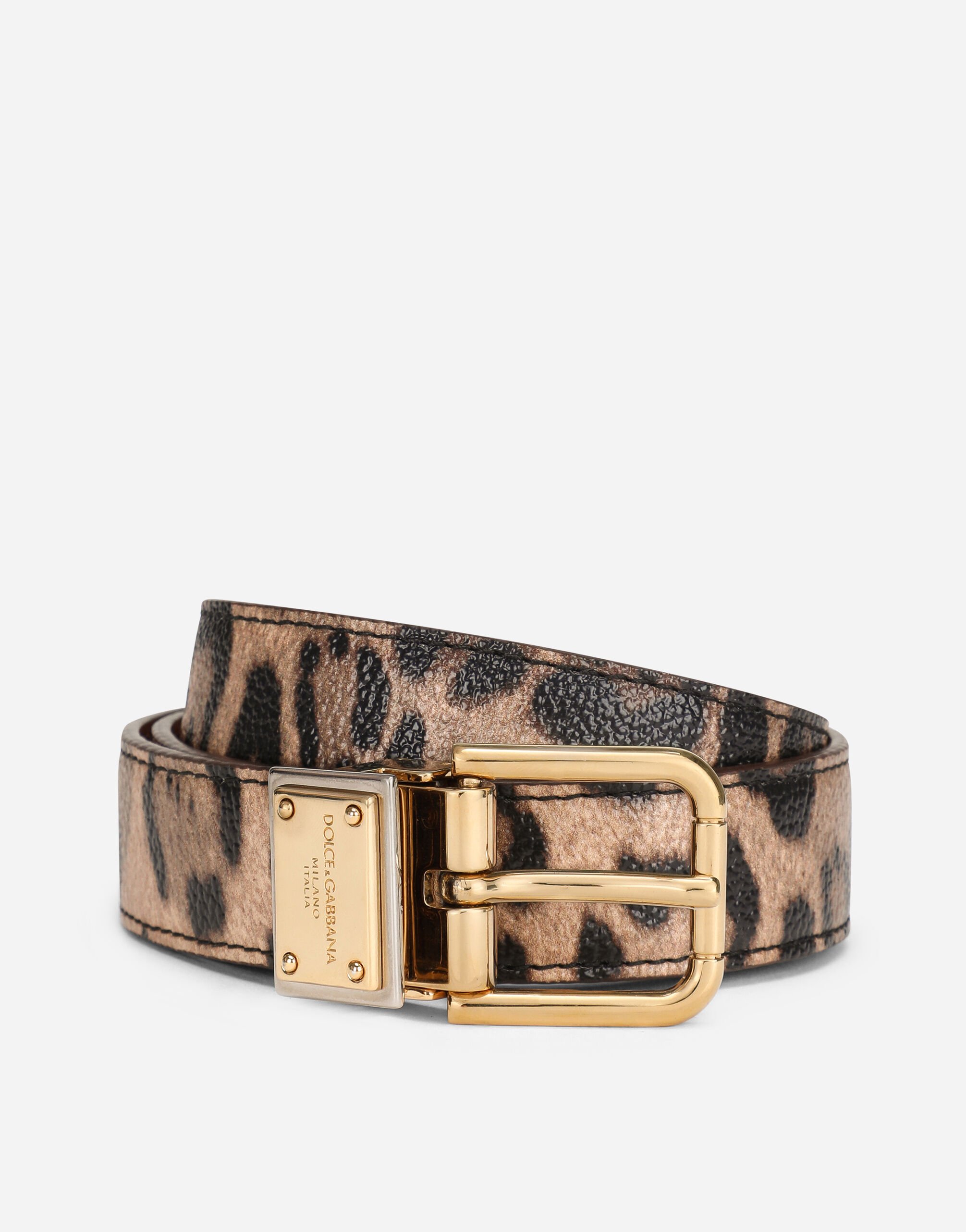 Dolce & Gabbana Leopard-print Crespo belt with branded plate Multicolor BB2206AW384
