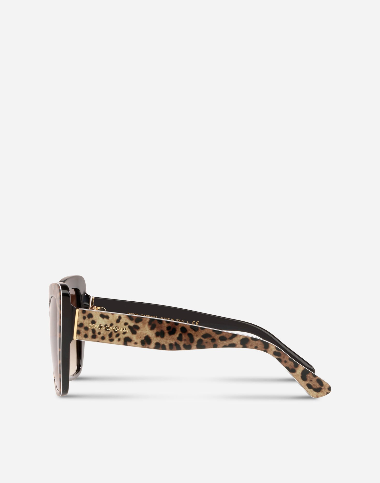 Print family sunglasses in Leo Print for Women Dolce Gabbana