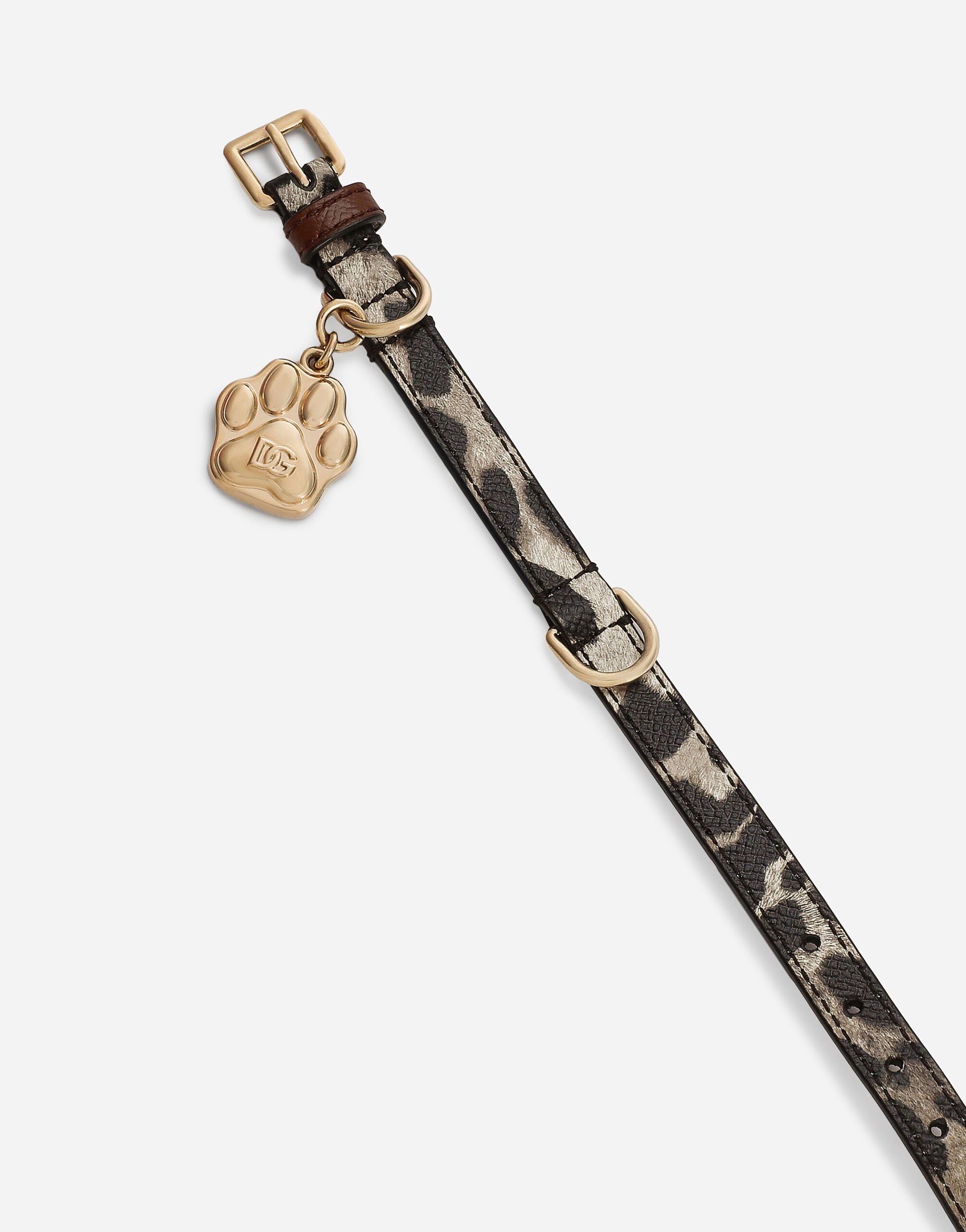 Dog collar in Print Dolce Gabbana