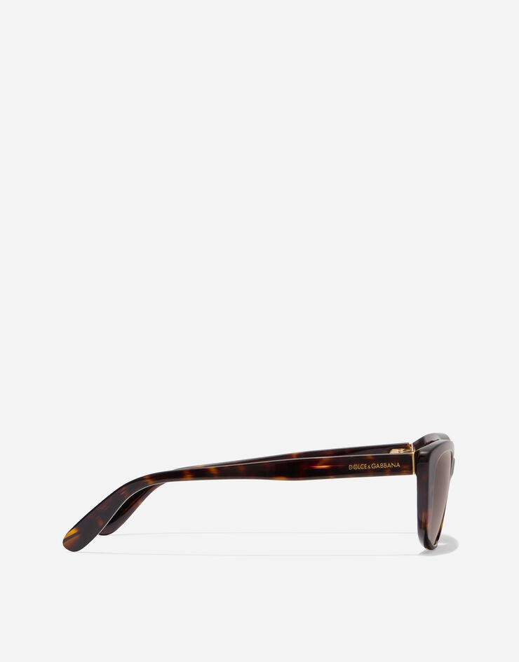 Dolce & Gabbana Everyday Sunglasses Havana VG4571VP273