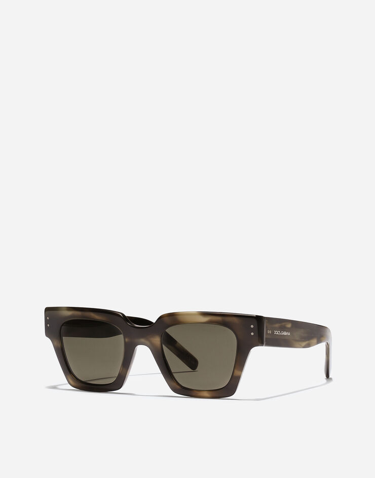 Dolce & Gabbana DNA Sunglasses Green havana VG4413VP003