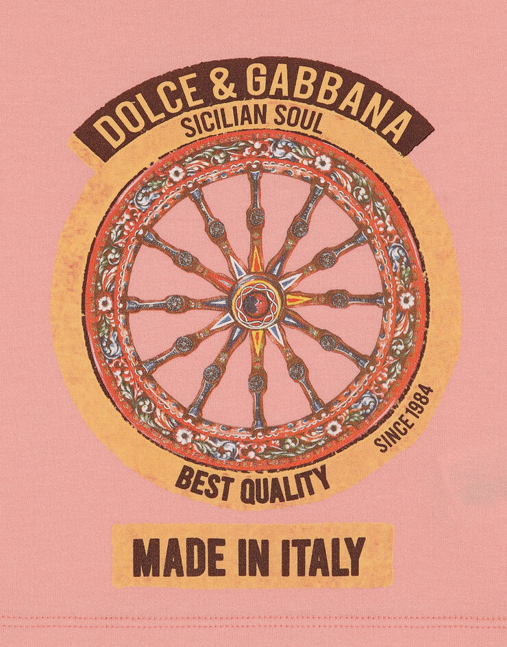 Dolce & Gabbana Jersey t-shirt with print Pink L5JTQLG7P5V