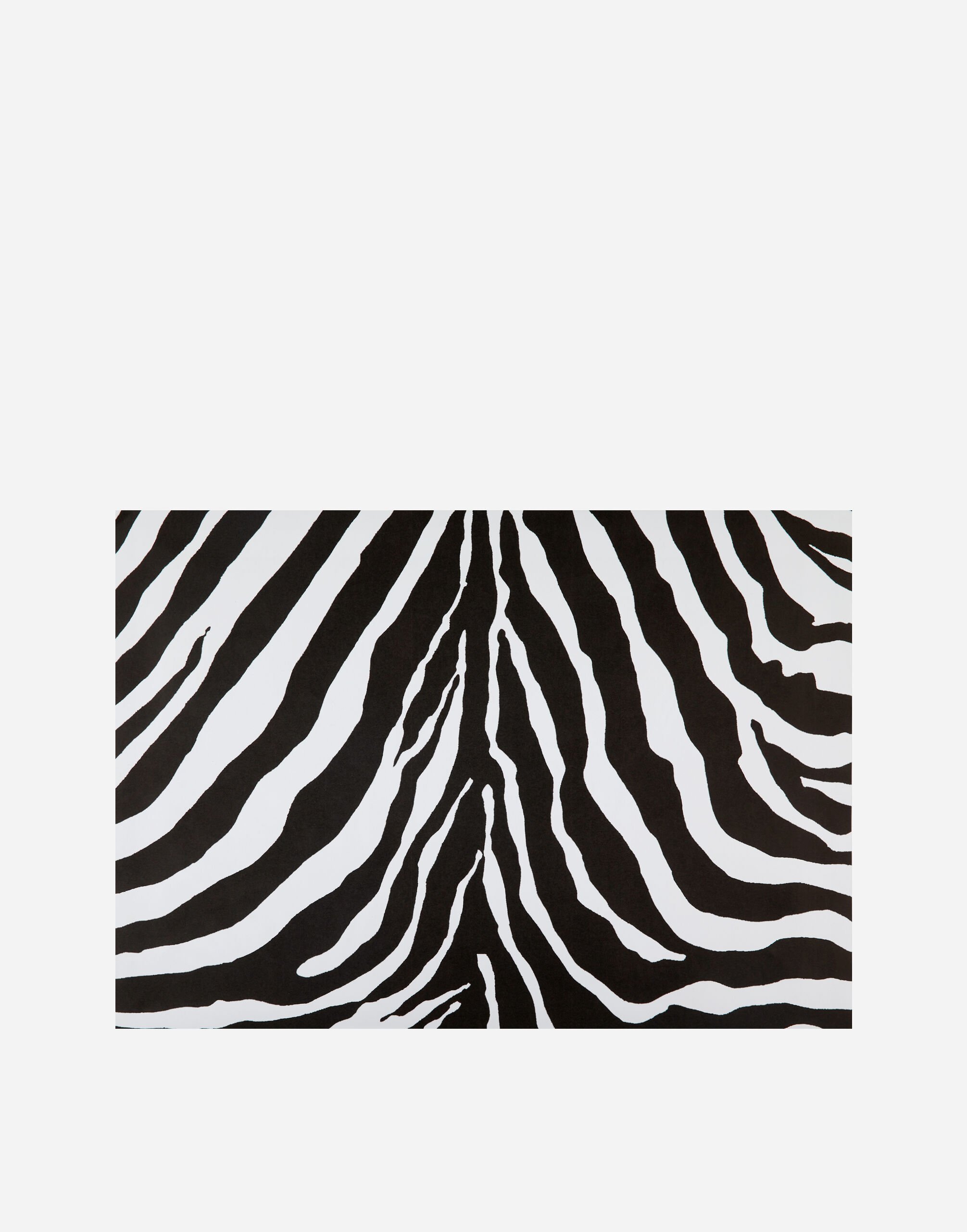 マルチカラー ペーパーナフキン 36枚セット | Dolce&Gabbana®