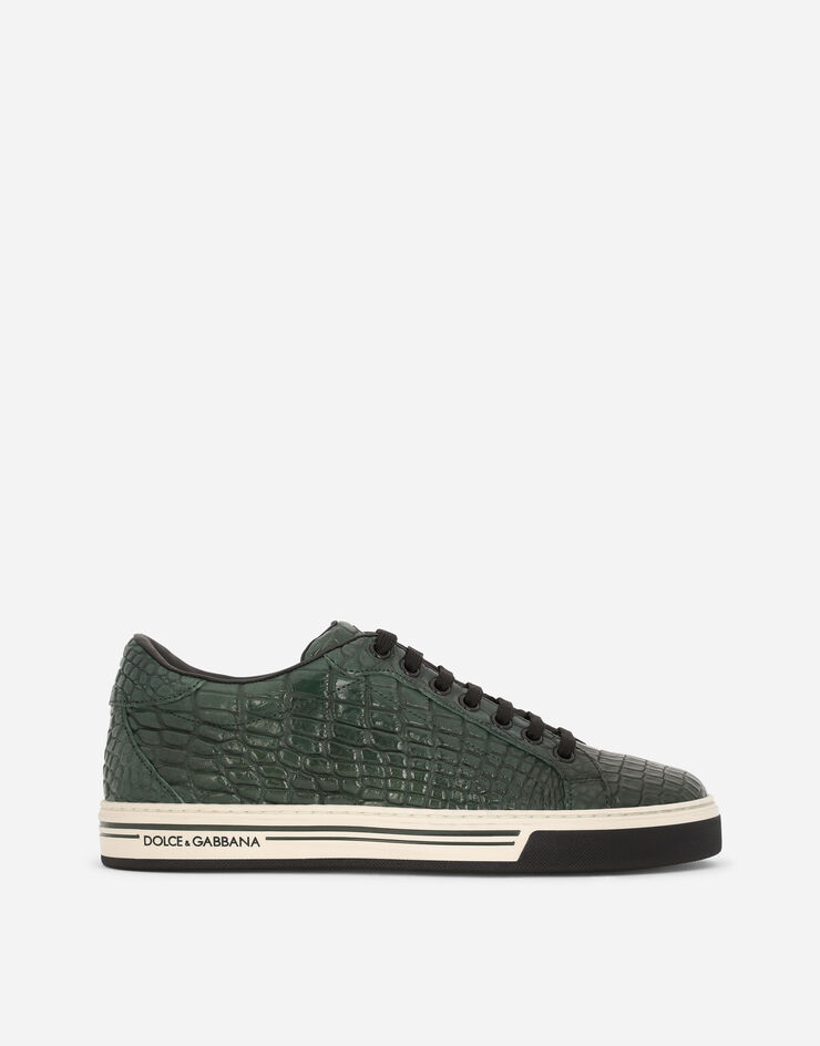 Dolce & Gabbana Hand-polished crocodile skin Roma sneakers Green CS1583A2Q18