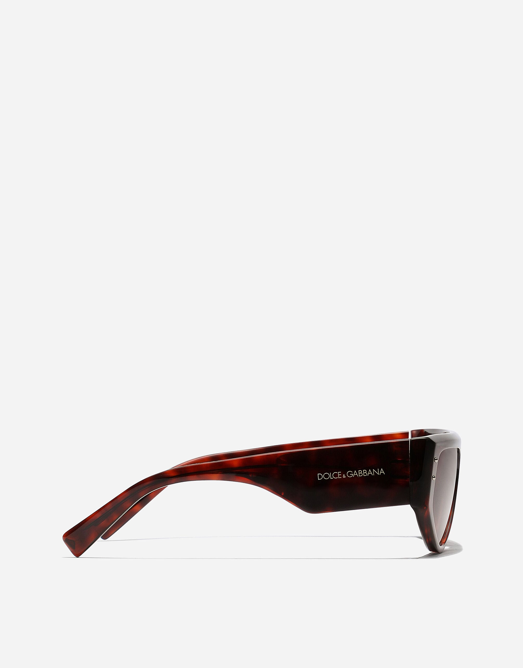 DG Sharped sunglasses in Havana red for Men | Dolce&Gabbana® US