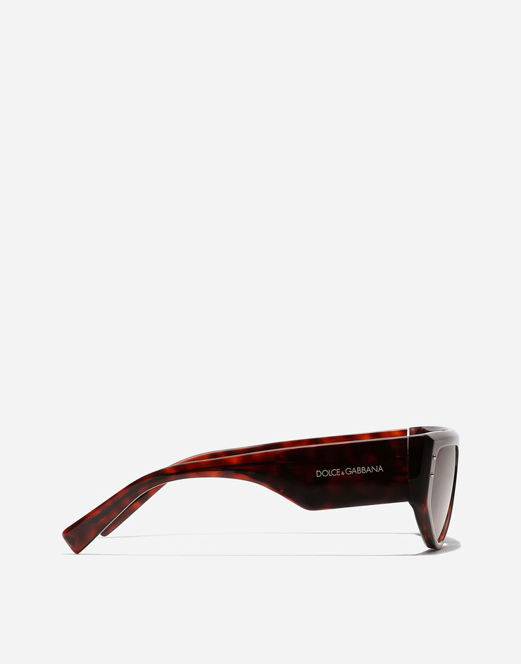 Dolce & Gabbana DG Sharped  sunglasses Havana red VG4461VP869