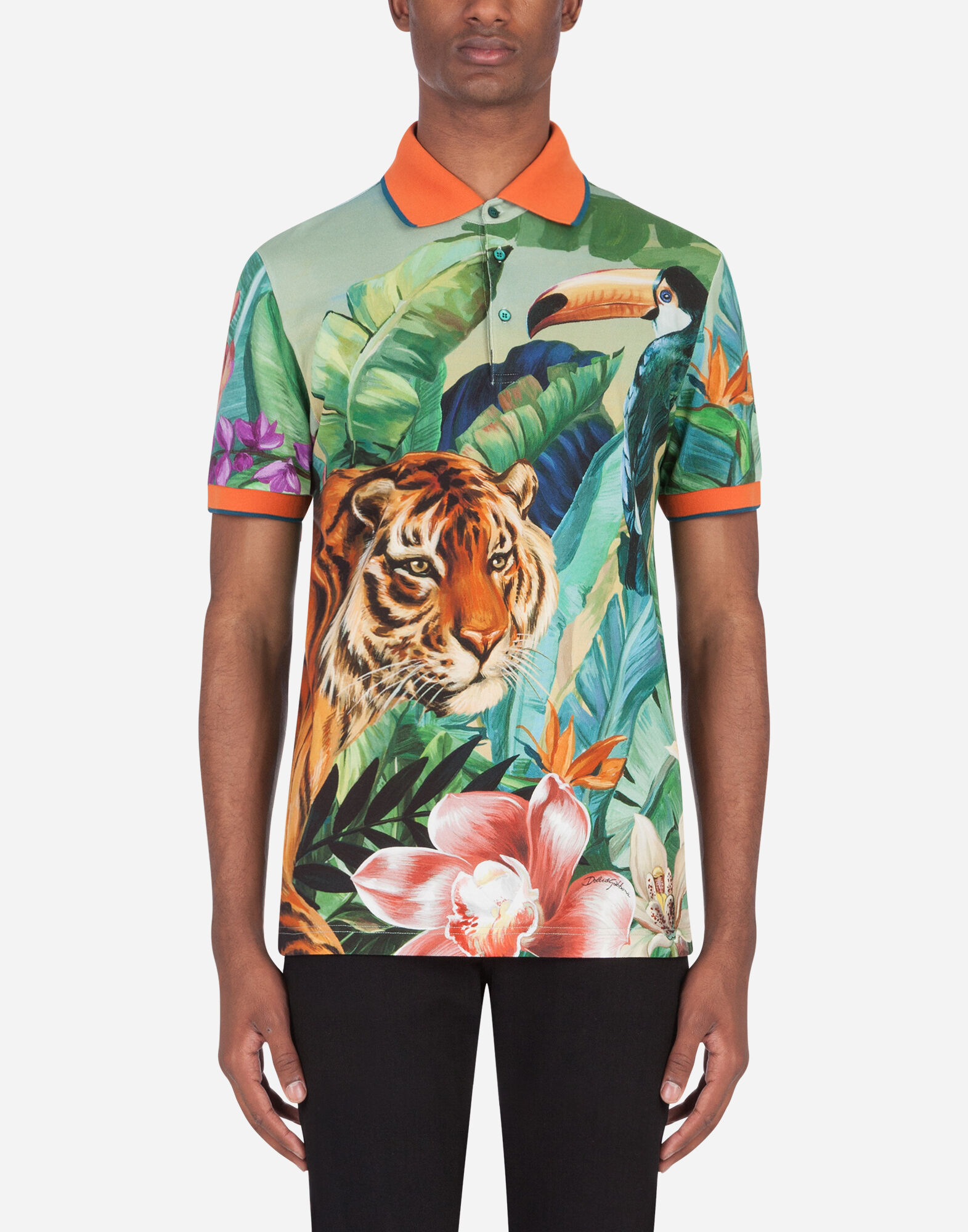 Dolce gabbana shop jungle print