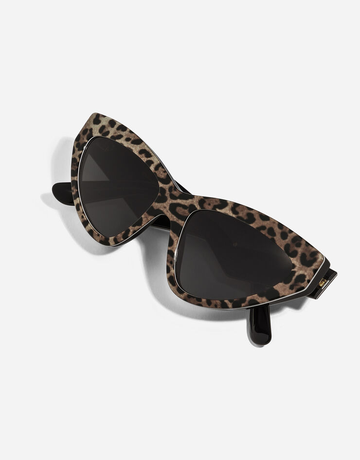 Dolce & Gabbana DG Crossed Sunglasses Leo brown on black VG4439VP387