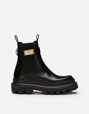 Dolce & Gabbana Calfskin ankle boots Grey CT0959AM237