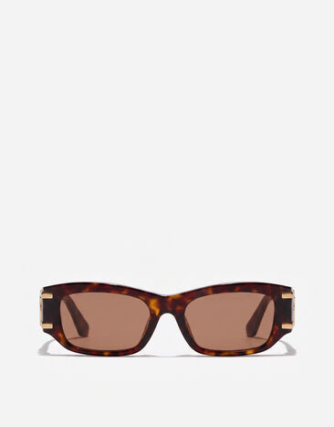 Dolce & Gabbana DG Griffe Sunglasses havana VG4564VP273