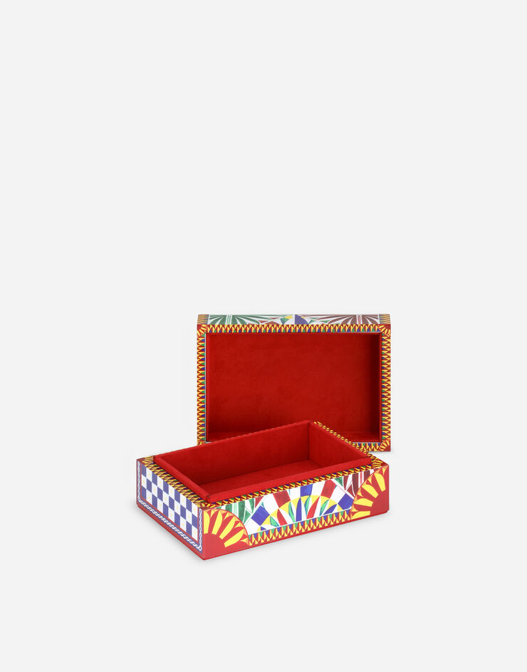 Dolce & Gabbana Small Decorated Plexiglass Box Multicolor TCC202TCAMY