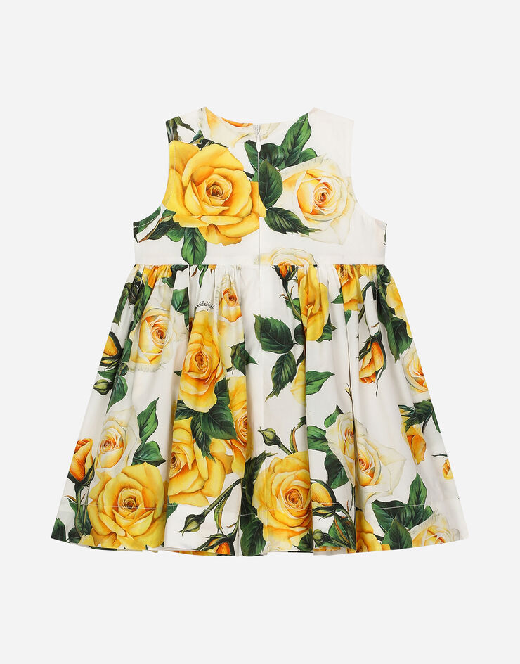 Dolce & Gabbana 블루머 & 옐로 로즈 프린트 포플린 드레스 인쇄 L23DI0HS5QR