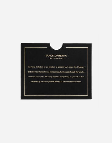 Dolce & Gabbana Velvet Collection Luminous Discovery Set - VT02ZTVT000
