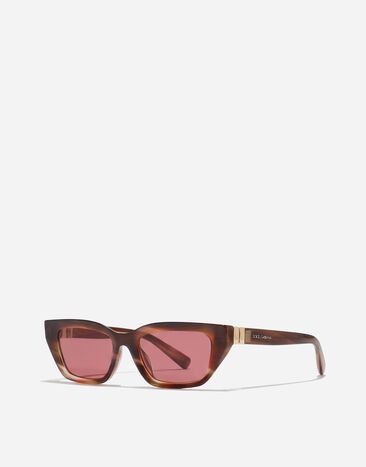 Dolce & Gabbana Gafas de sol DG Hinge Striped brown VG4532VP175