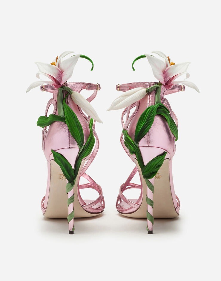 Dolce & Gabbana  PINK CR0565AA132