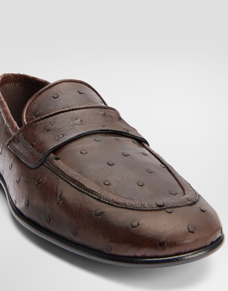 Dolce & Gabbana Ostrich leather slippers Dolce & Gabbana Ostrich leather slippers Brown A50391A8M90