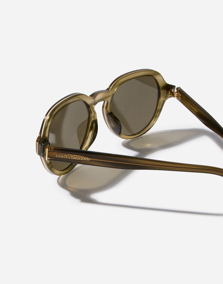 Dolce & Gabbana Everyday Sunglasses Dolce & Gabbana Everyday Sunglasses Tranpsarent green VG4567VP803