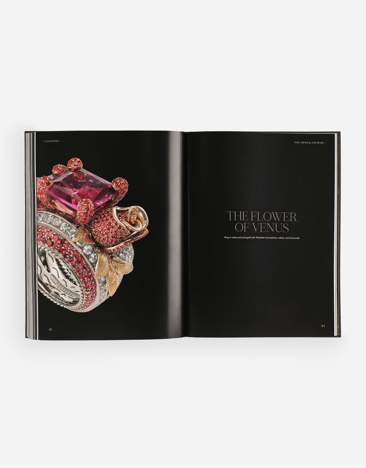 Dolce & Gabbana Dolce & Gabbana Alta Gioielleria: Masterpieces of High Jewellery Multicolor VL1127VLTW2