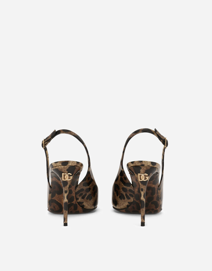 Dolce & Gabbana  Animal Print static word   - DG Casa