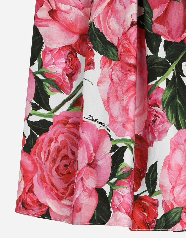 Dolce & Gabbana Poplin dress with rose print over a white background Print L55I33HS5SC
